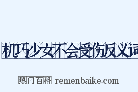 机巧少女不会受伤反义词是什么意思的图片